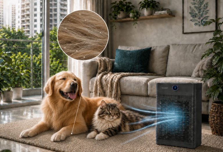 Pet Dander – Is It Really Pet Hair That Causes Allergies?